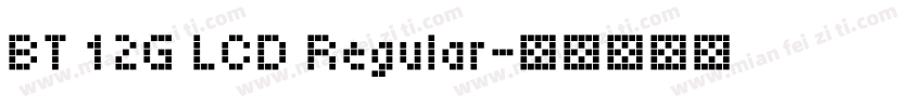 BT 12G LCD Regular字体转换